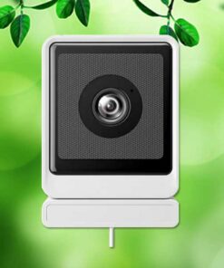 Window camera