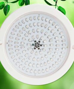 Mini PC LED Pool Light